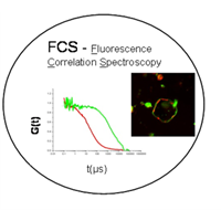 Fluorescence Correlation Spectroscopy (FCS)
